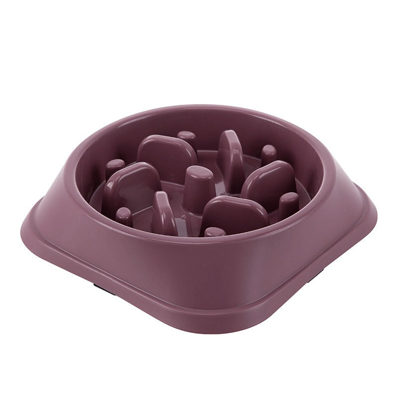 Slow Feeder Dog Bowl for Steadier, Calmer Mealtimes