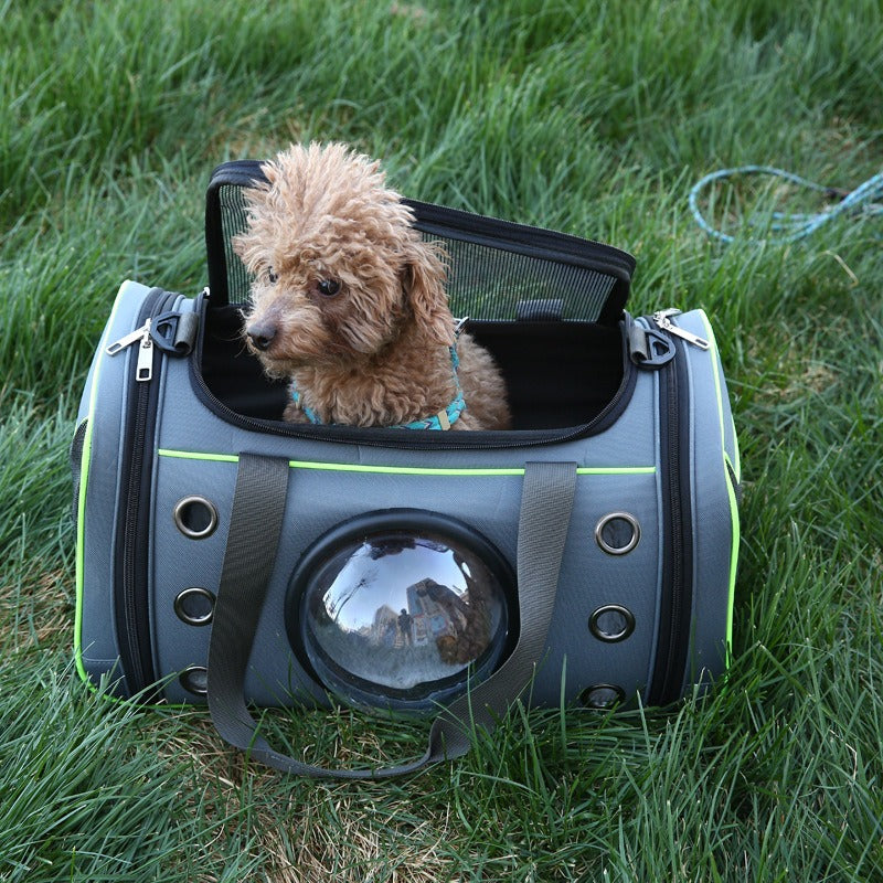 Pet Carrier Bag for Small Dogs & Cats, Hands-Free
