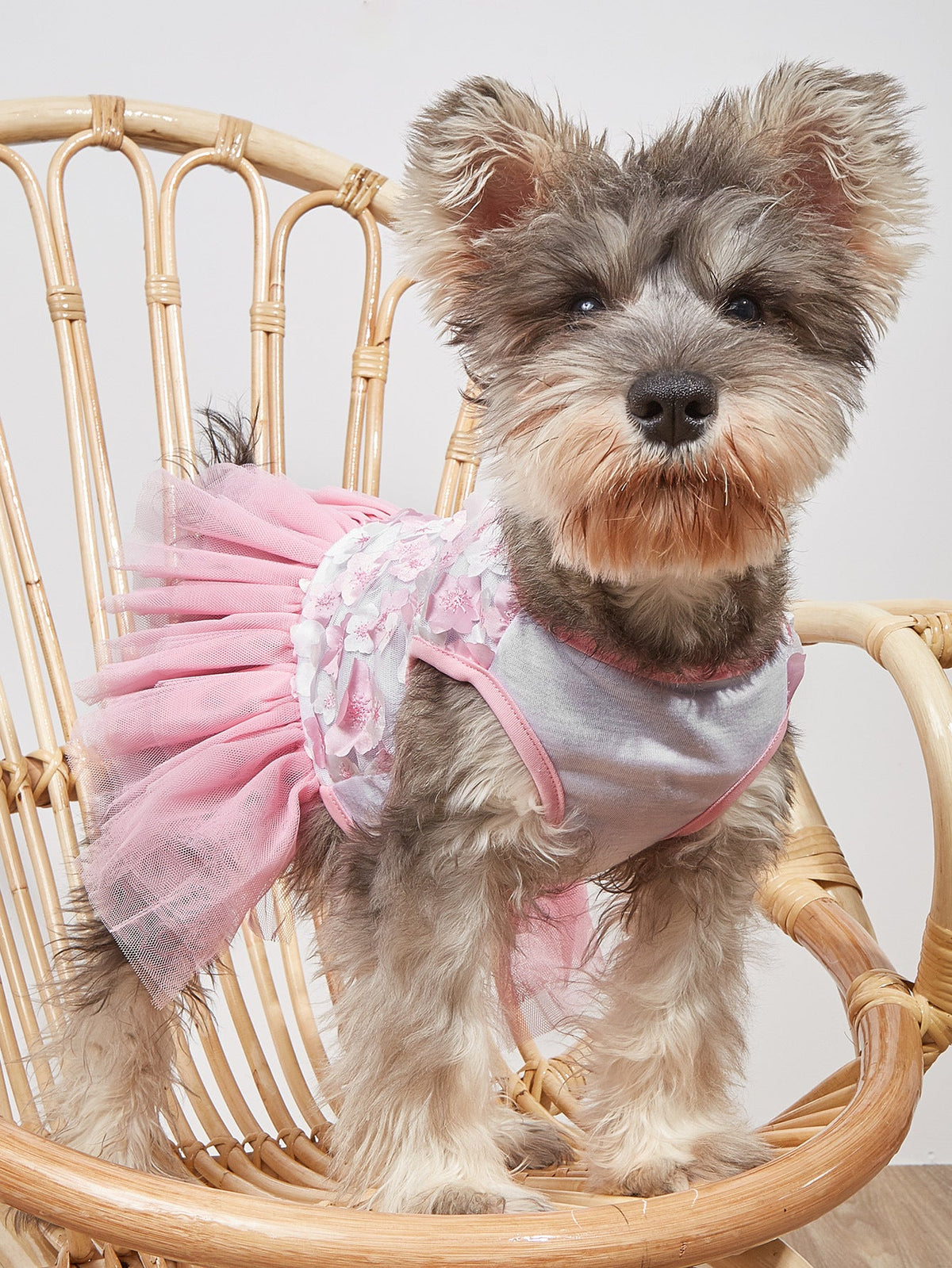 Floral Tutu Dress for Small Dogs and Puppies