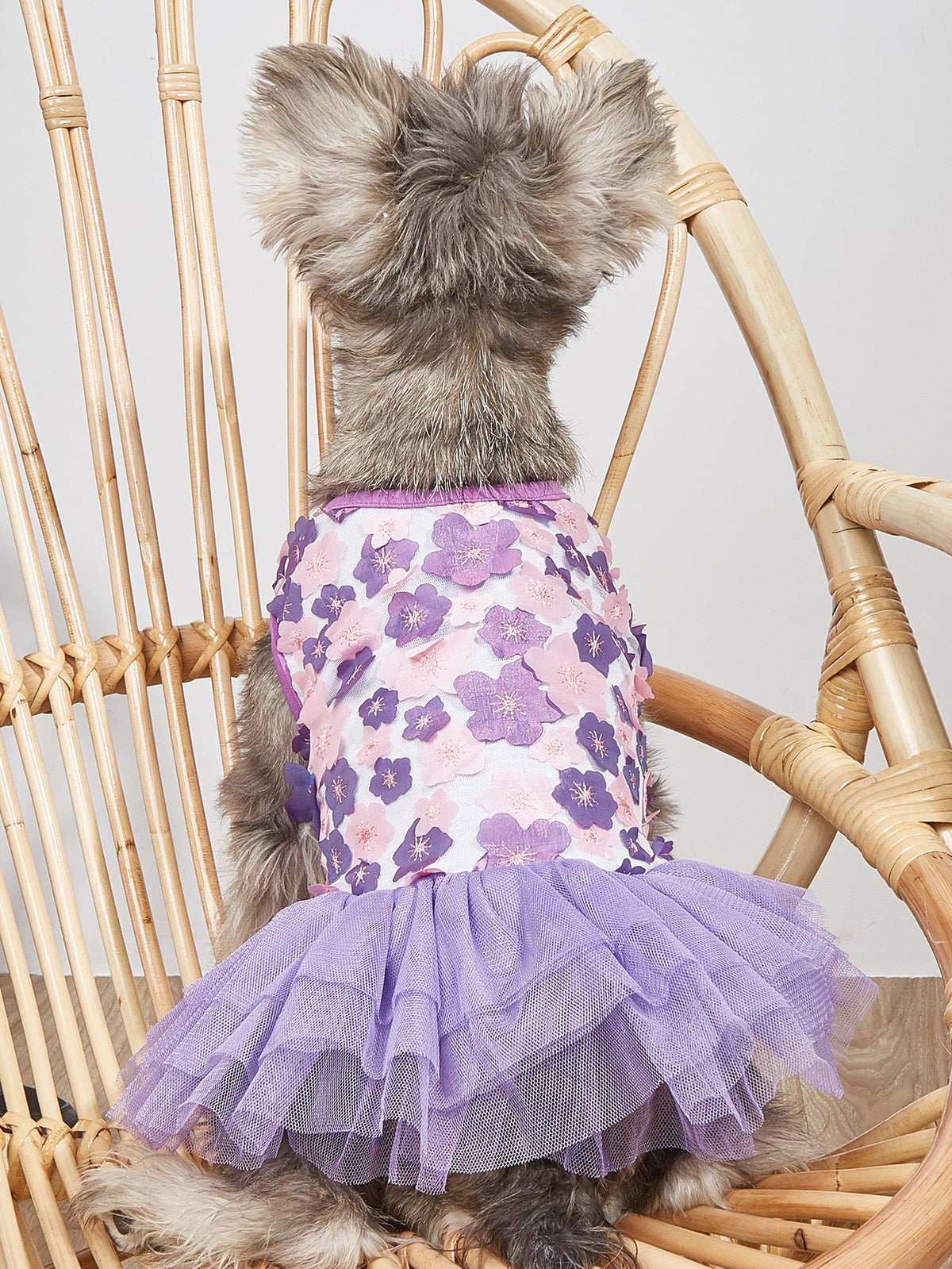 Floral Tutu Dress for Small Dogs and Puppies