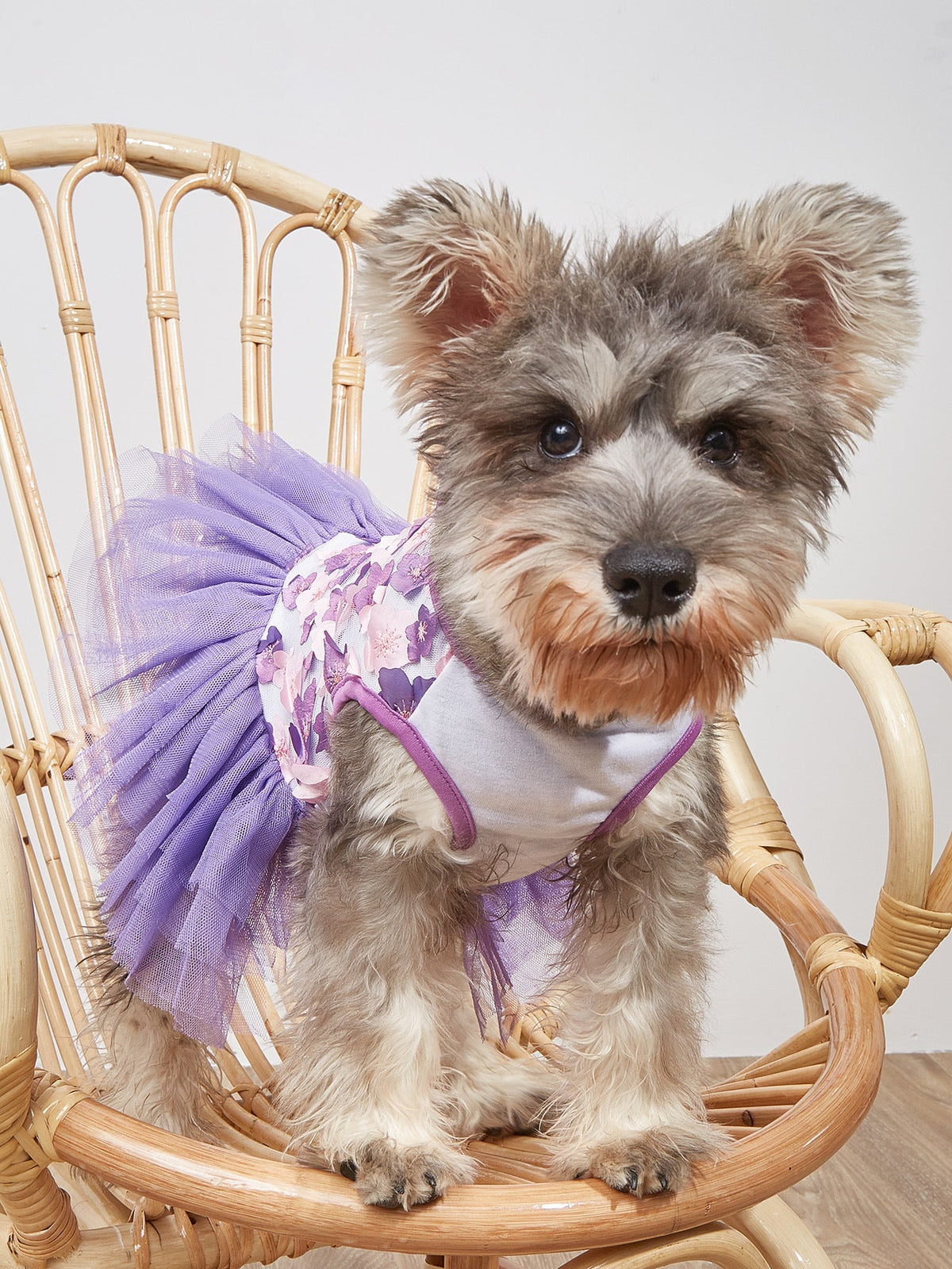 Floral Tutu Dress for Small Dogs and Puppies