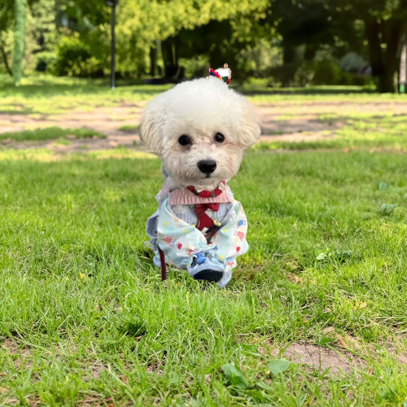 Small Dog Pet Jumpsuit With Paw Covers | Cleaner Walks