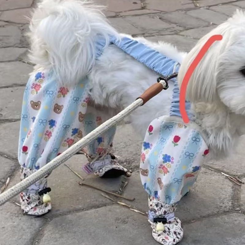Small Dog Pet Jumpsuit With Paw Covers | Cleaner Walks
