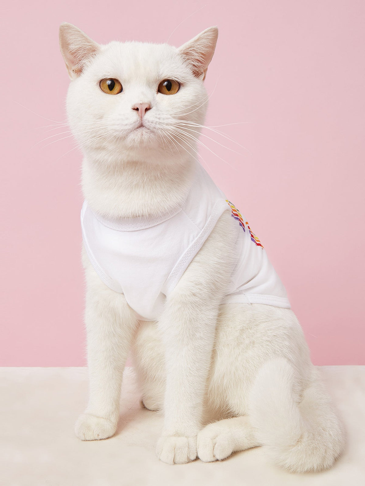 Rainbow Pet Shirt for Lightweight Summer Outfit Style