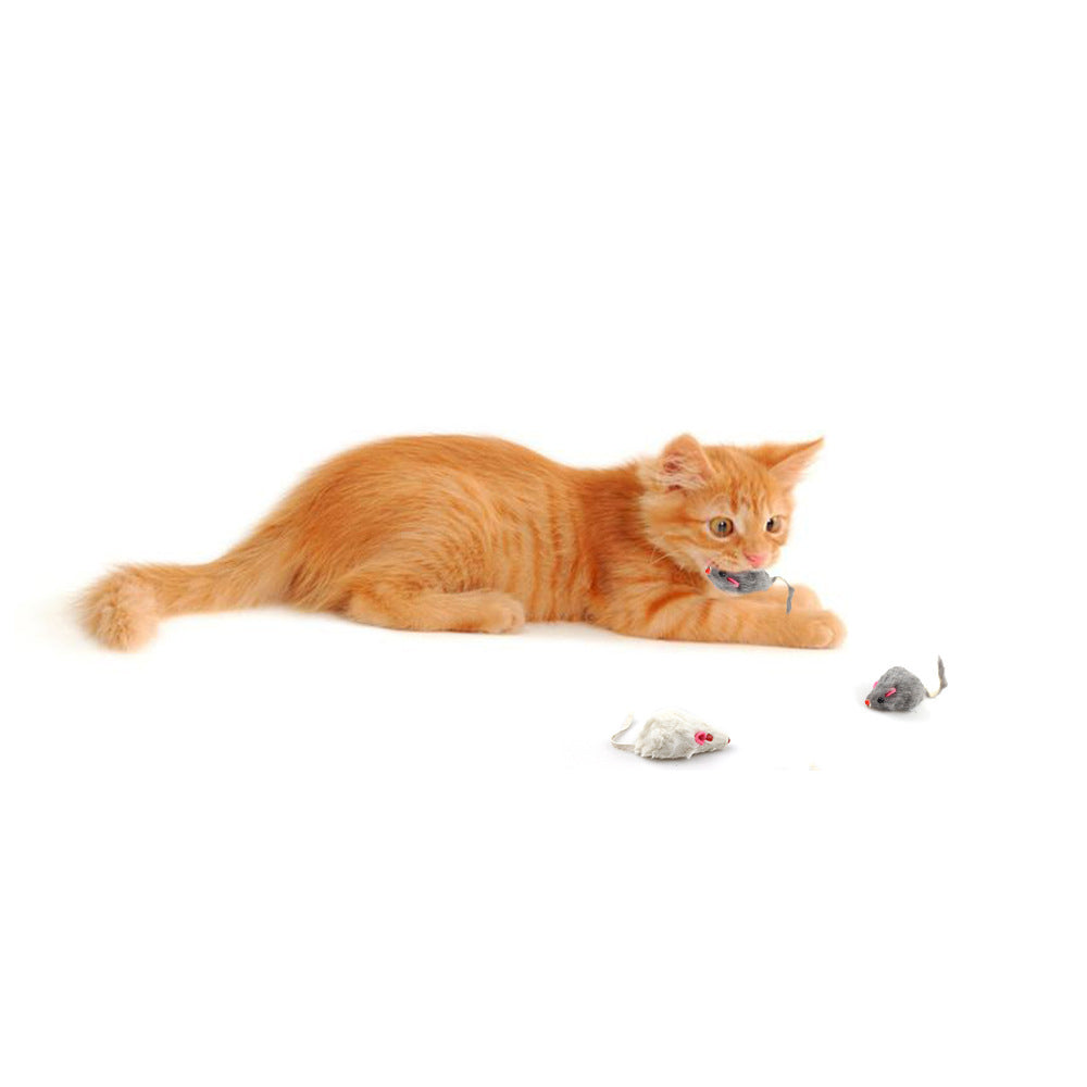 Cat Mouse Toys, 12-Pack for Indoor Play Enrichment