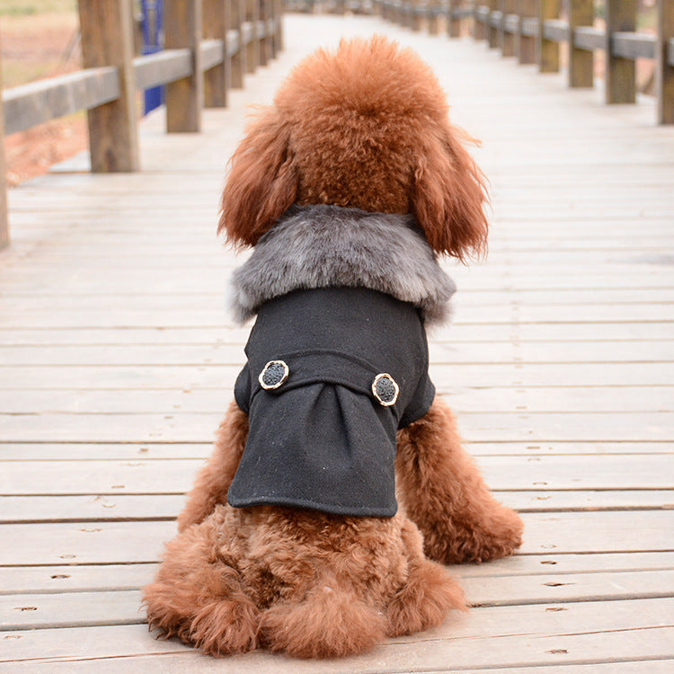 Dog Coat With Faux-Fur Collar for Cold-Weather Walks