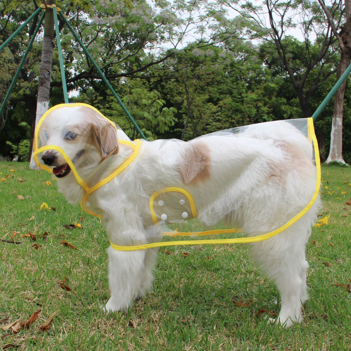 Transparent Dog Raincoat Poncho for Small & Medium Dogs