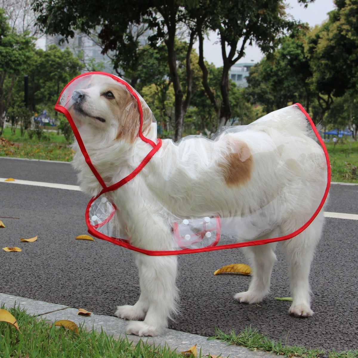 Transparent Dog Raincoat Poncho for Small & Medium Dogs