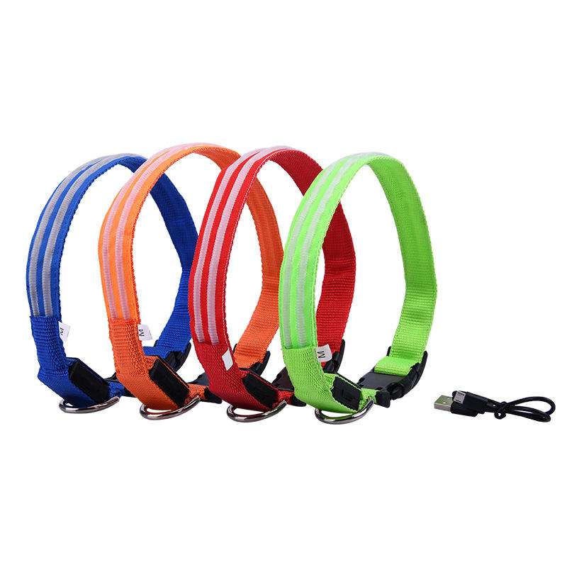 LED Dog Collar for Night Walks, USB Rechargeable Safety