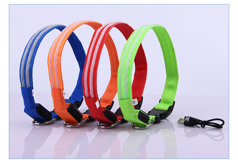 LED Dog Collar for Night Walks, USB Rechargeable Safety