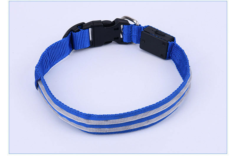 LED Dog Collar for Night Walks, USB Rechargeable Safety