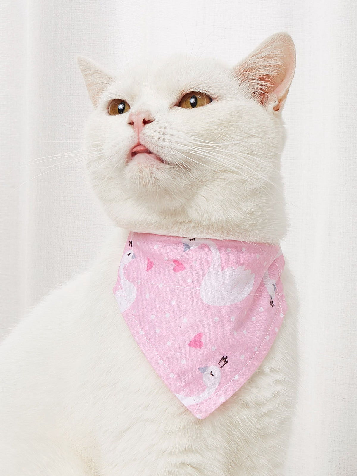 Pet Triangle Bandana Collar for Cute Everyday Style