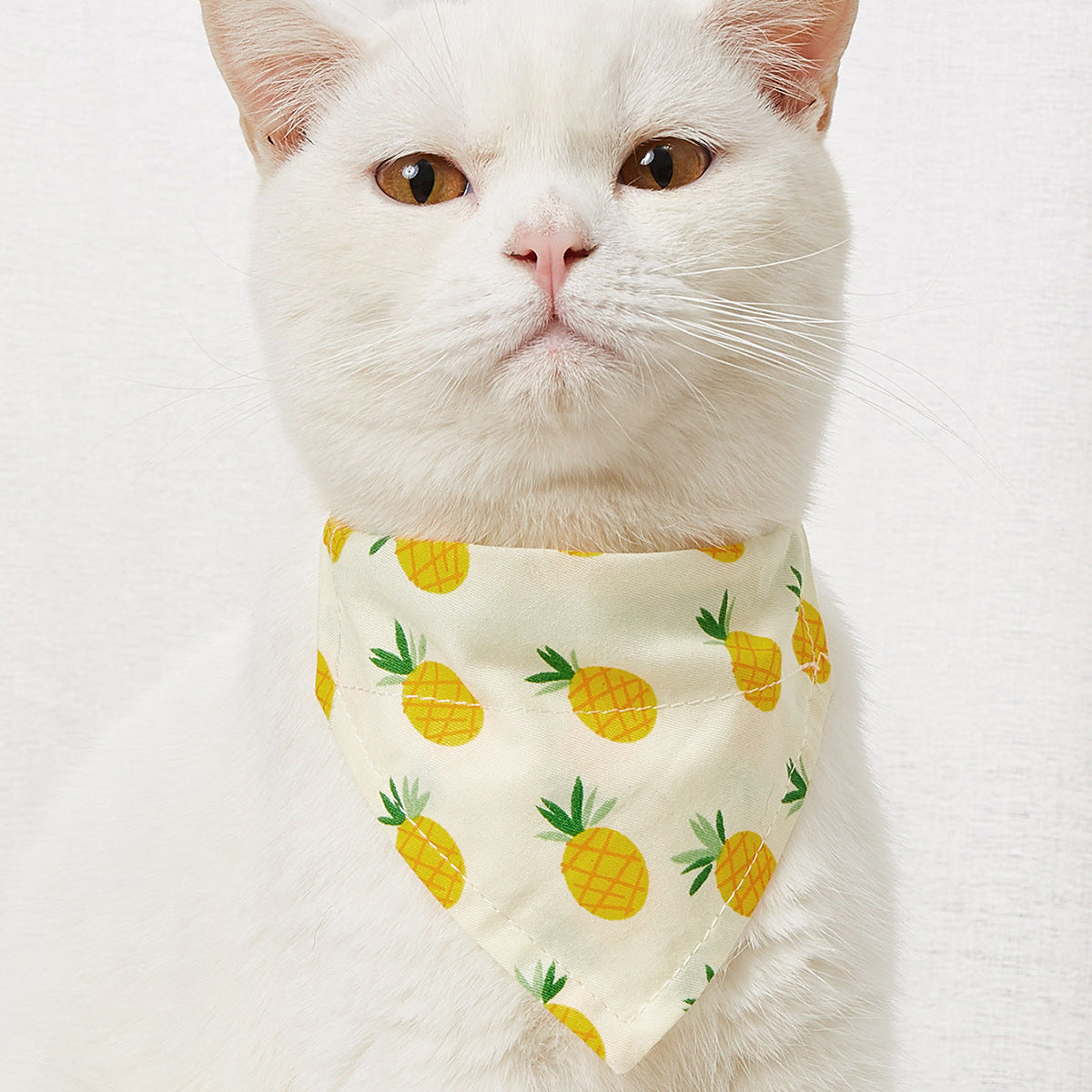 Pet Triangle Bandana Collar for Cute Everyday Style