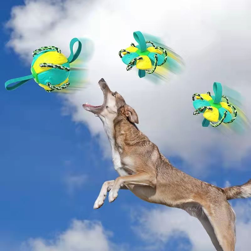 Interactive Dog Frisbee Toy for Outdoor Fetch & Tug