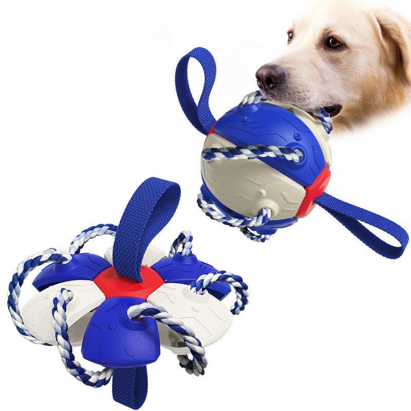 Interactive Dog Frisbee Toy for Outdoor Fetch & Tug