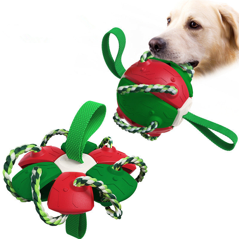 Interactive Dog Frisbee Toy for Outdoor Fetch & Tug