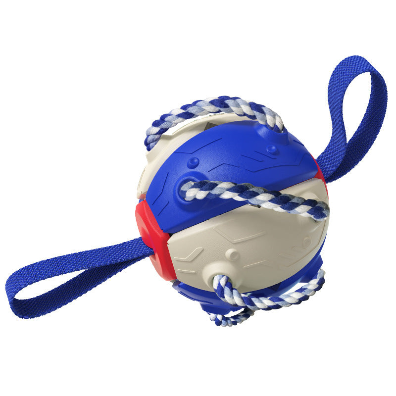 Interactive Dog Frisbee Toy for Outdoor Fetch & Tug