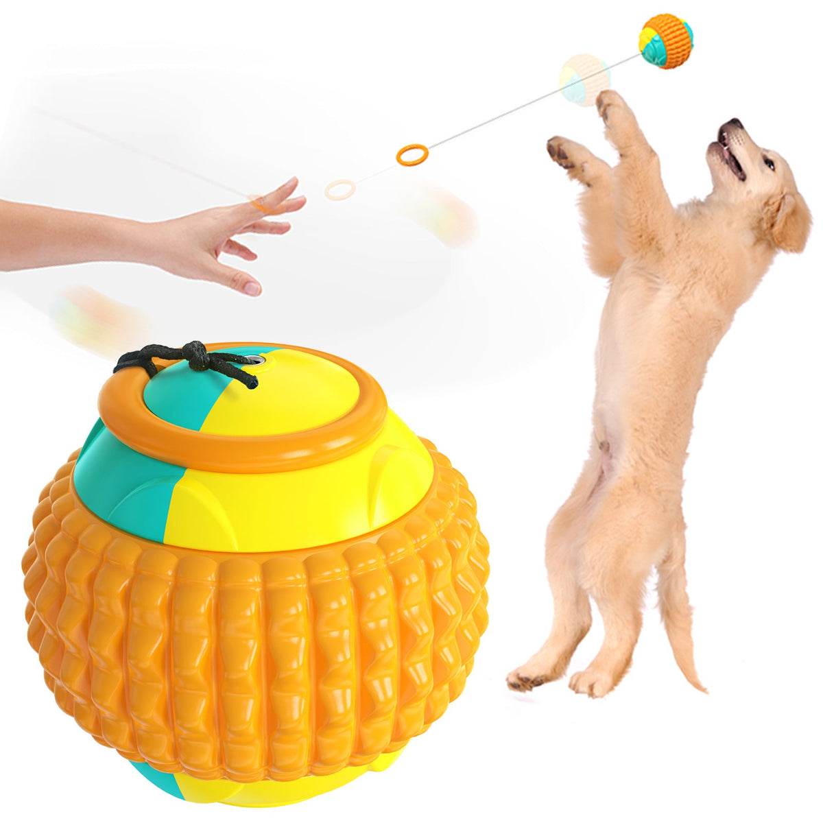 Interactive Dog Ball Toy for Engaging Fetch & Chew Play
