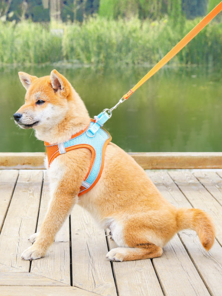 Breathable Reflective Dog Harness With 150 cm Leash