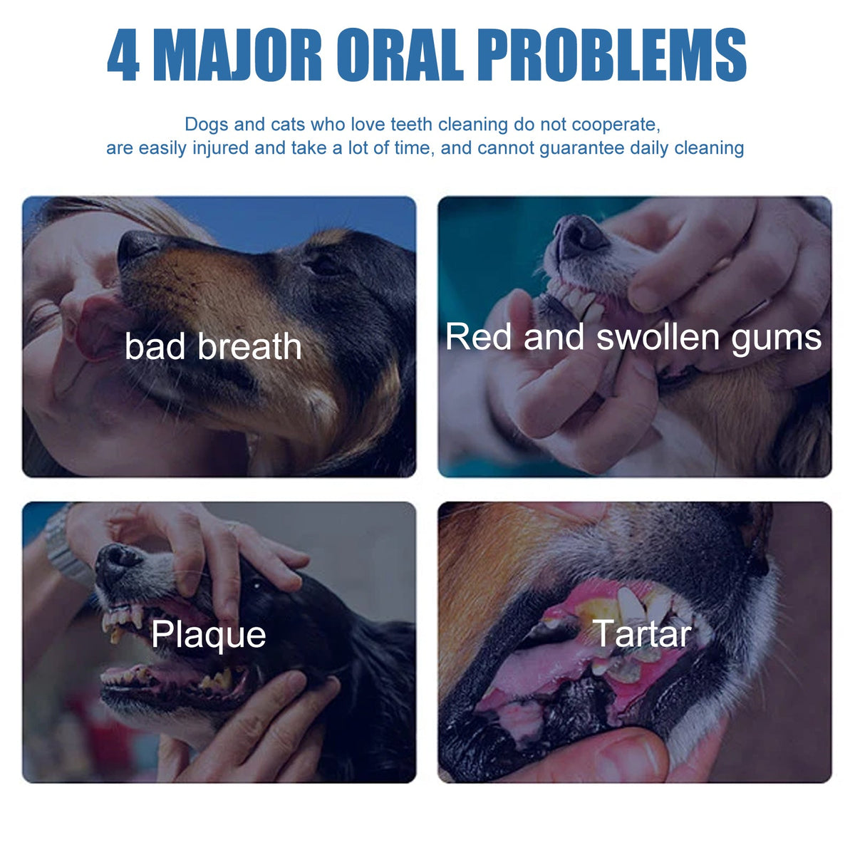 Pet Tartar Remover Foam for Cleaner, Whiter-Looking Teeth