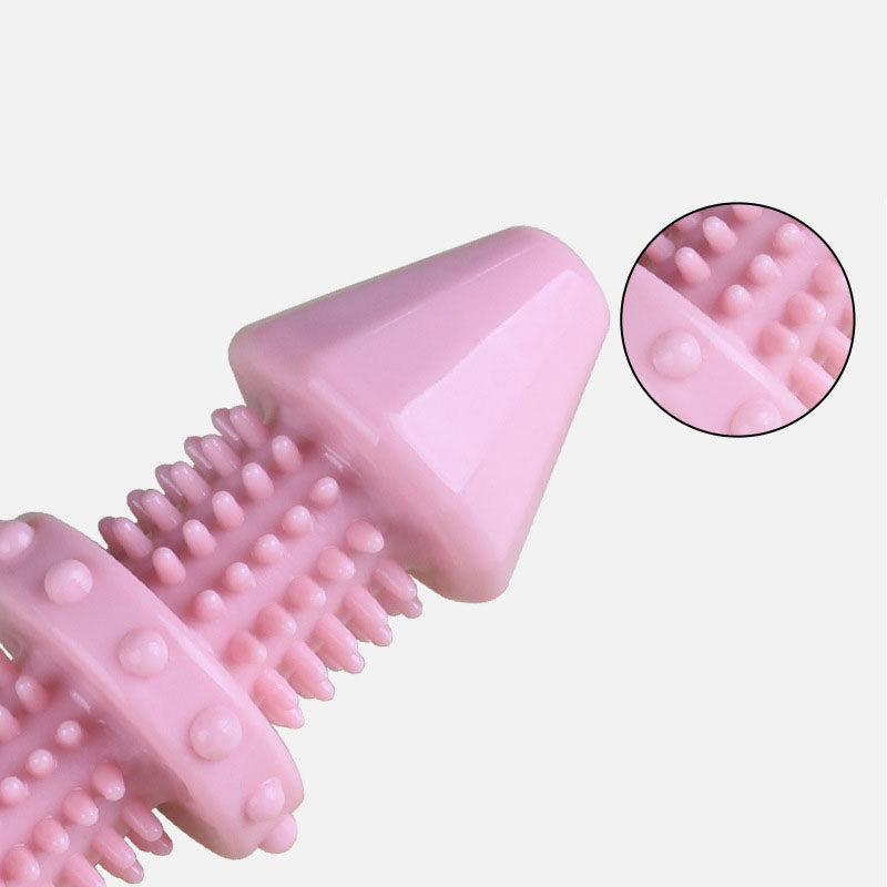 Small Dog Dental Chew Toy Set for Cleaner Teeth & Gums