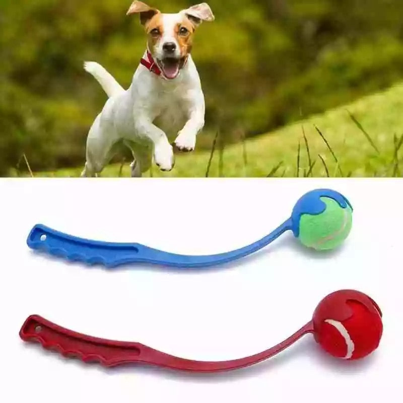 Dog Ball Launcher for Longer, Cleaner Outdoor Fetch