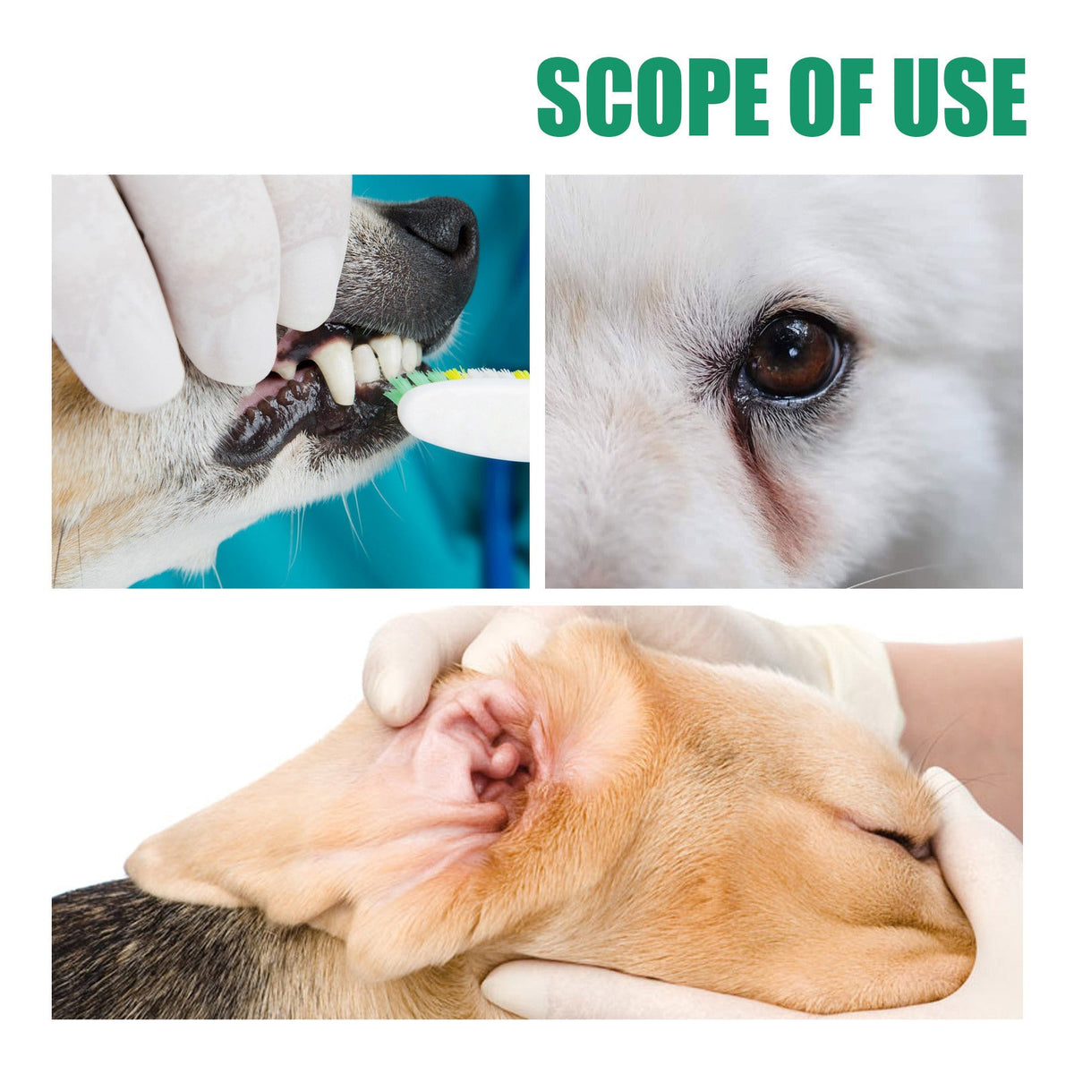 Pet Tooth Cleaning Finger Sleeves for Cleaner Teeth