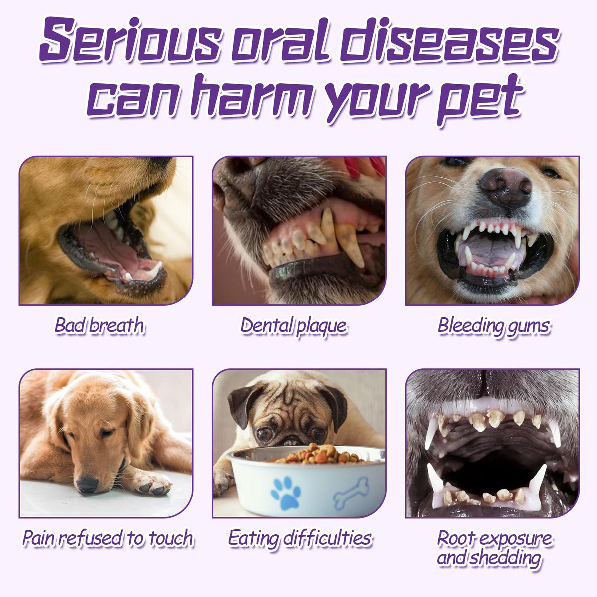 Dog Toothbrush Set for Gentle, Deep Dental Cleaning