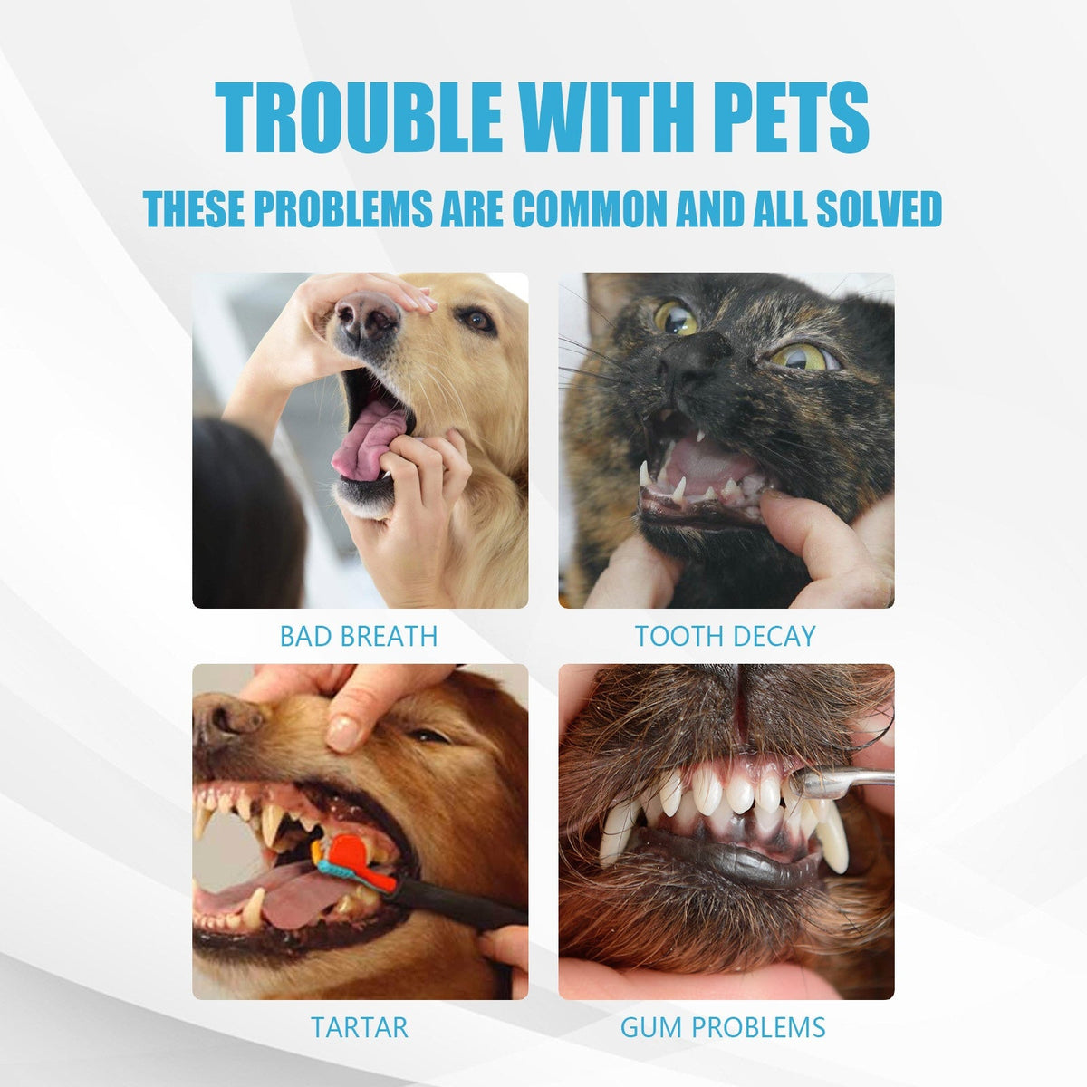 Pet Toothpaste for Dogs & Cats Fresh Breath Dental Care