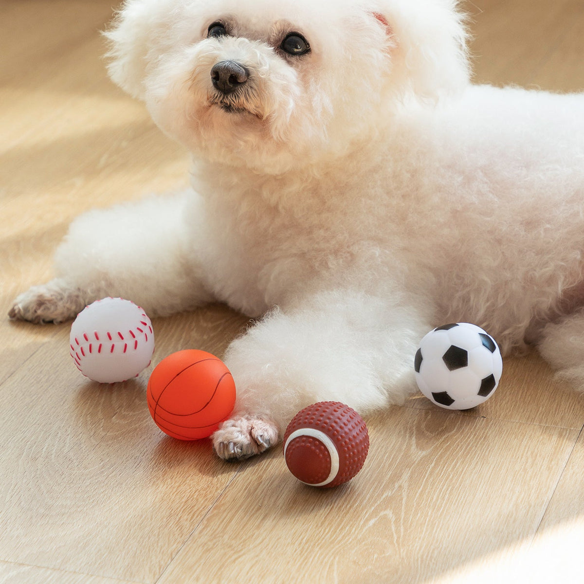 Textured Dog Fetch Toy for Interactive Daily Exercise