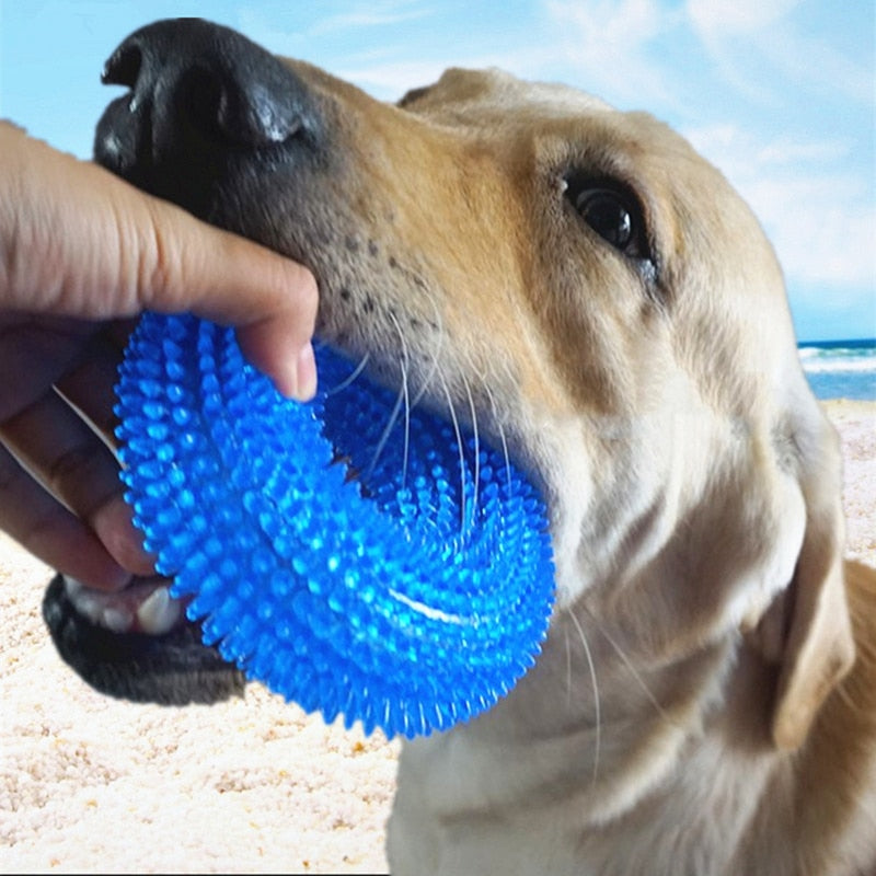 Dog Dental Chew Toy With Bristles for Cleaner Teeth