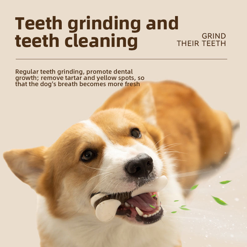 Dog Dental Chew Bone for Beef-Flavored Teeth Cleaning