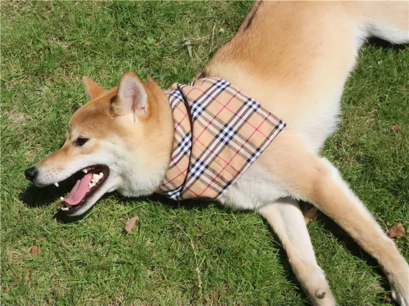 Dog Plaid Bandana Scarf for Saliva & Stylish Walks