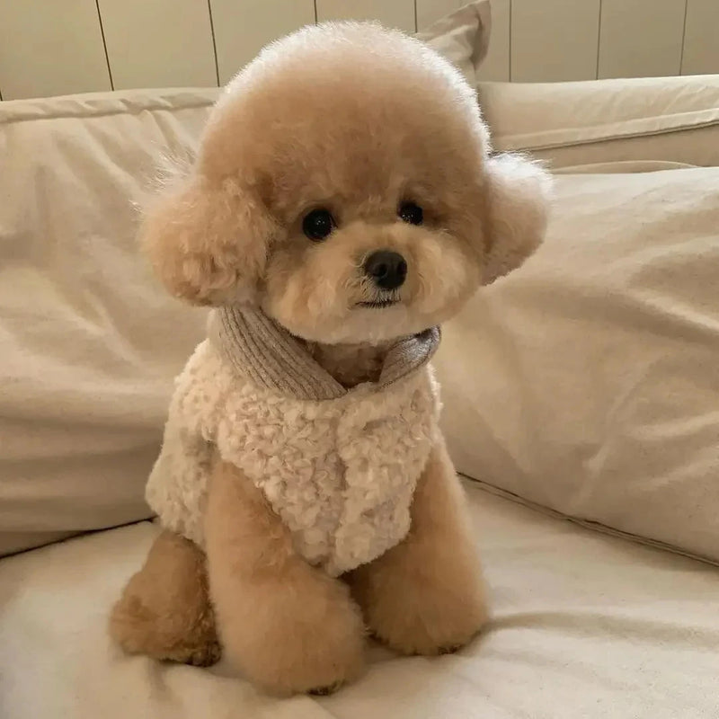 Small Dog Sherpa Winter Coat With Matching Knit Hat