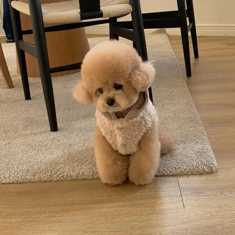 Small Dog Sherpa Winter Coat With Matching Knit Hat