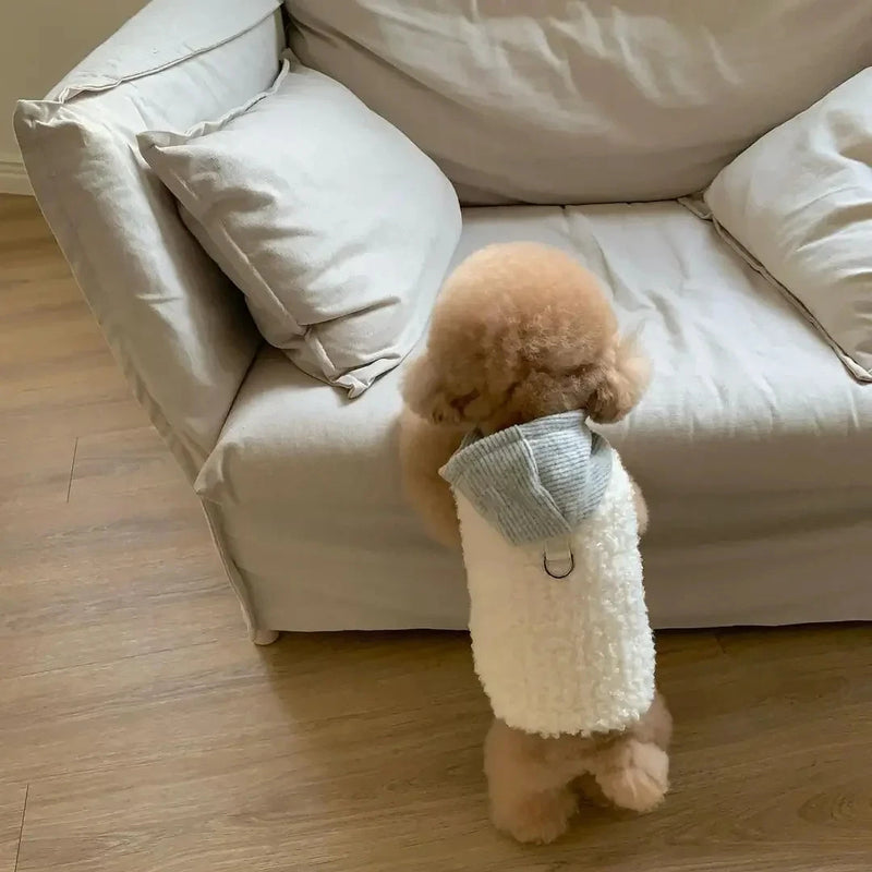 Small Dog Sherpa Winter Coat With Matching Knit Hat