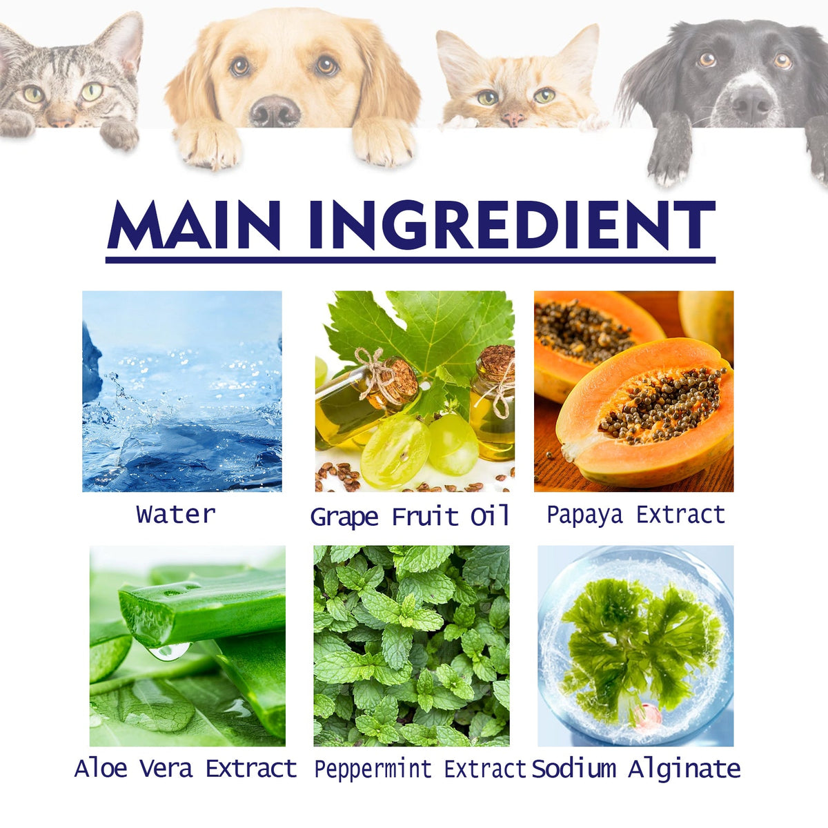 Pet Toothpaste for Bad Breath and Everyday Gum Care