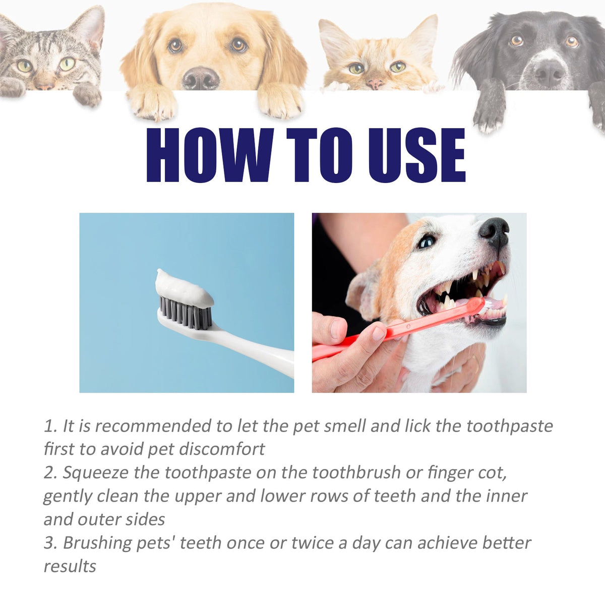 Pet Toothpaste for Bad Breath and Everyday Gum Care