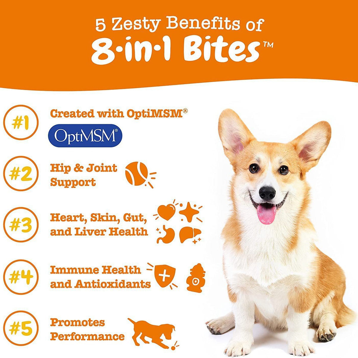 8-in-1 Dog Vitamin Soft Chews for Daily Wellness Support
