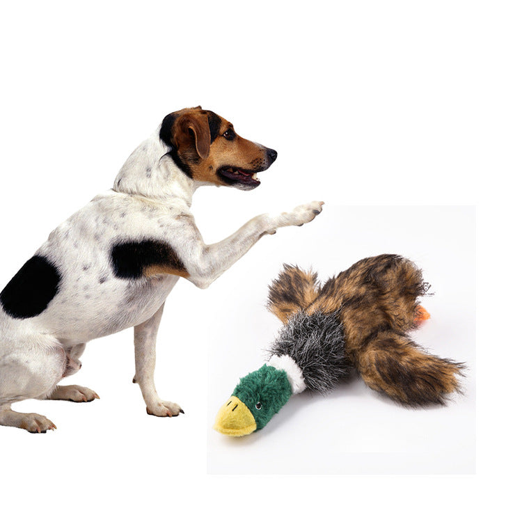 Interactive Voice-Producing Duck Toy for Cats & Dogs