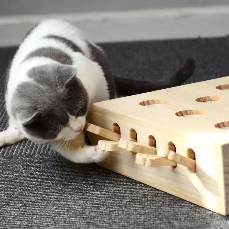 Interactive Cat Toy: 5-Hole Whac-A-Mole Play Board