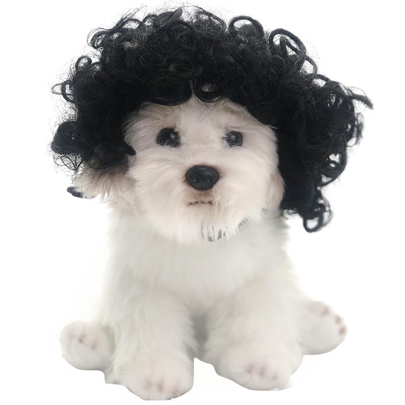 Pet Wig for Dogs: Instant Halloween Character Look