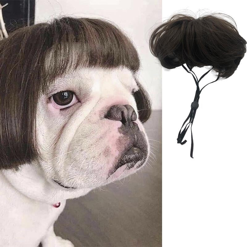 Pet Wig for Dogs: Instant Halloween Character Look