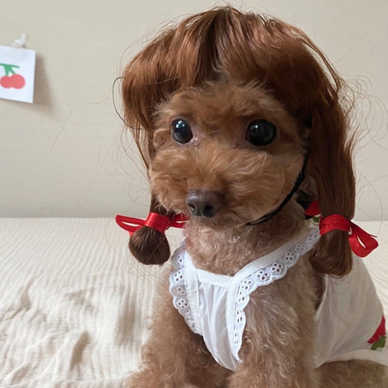 Pet Wig for Dogs: Instant Halloween Character Look