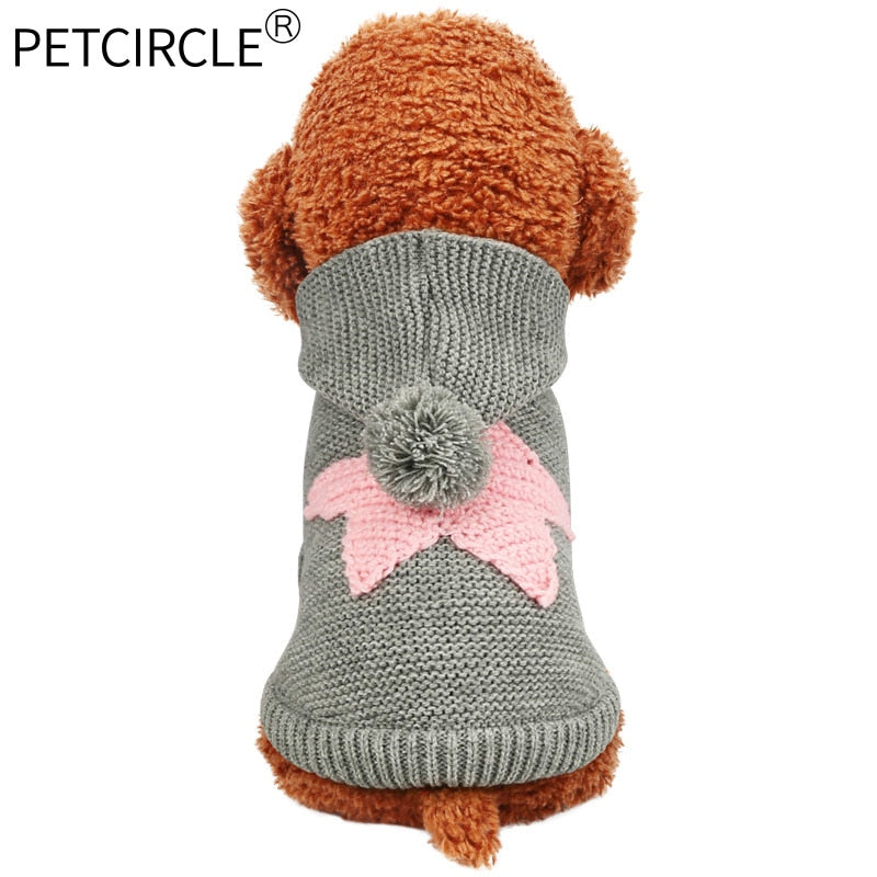 Knitted Dog Sweater with Starfish Detail for Warmth