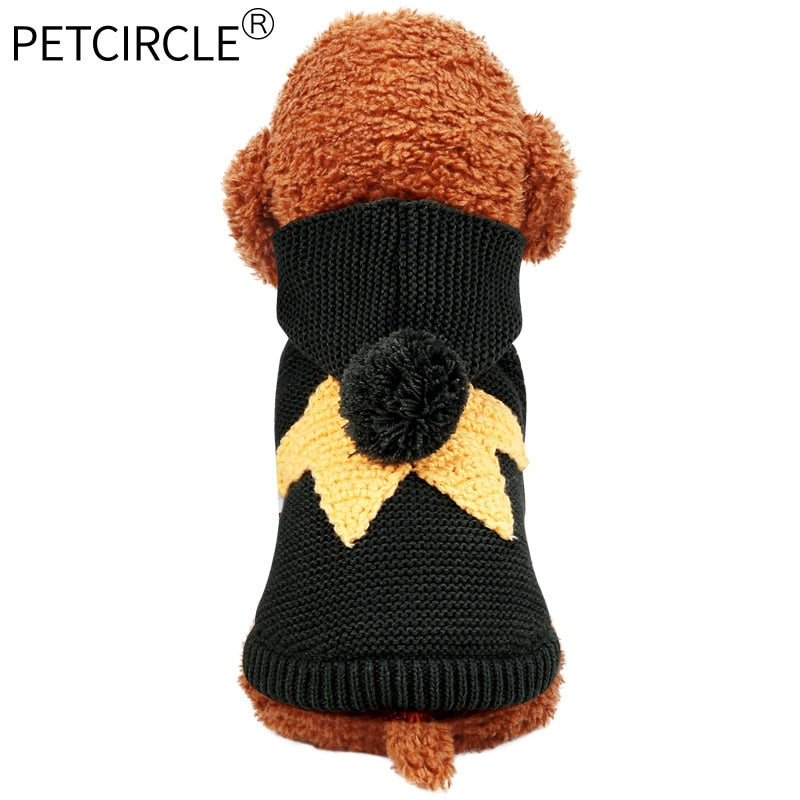 Knitted Dog Sweater with Starfish Detail for Warmth