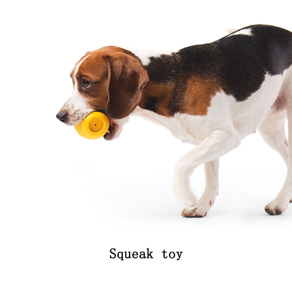 Interactive Dog Toy Ball for Chewing, Treats & Play