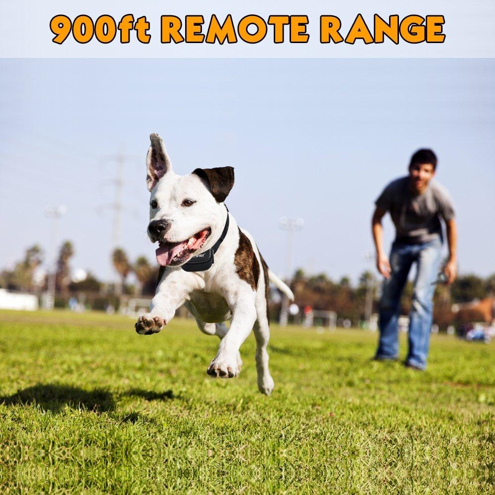 Rechargeable Dog Training Collar, 900ft Remote Range
