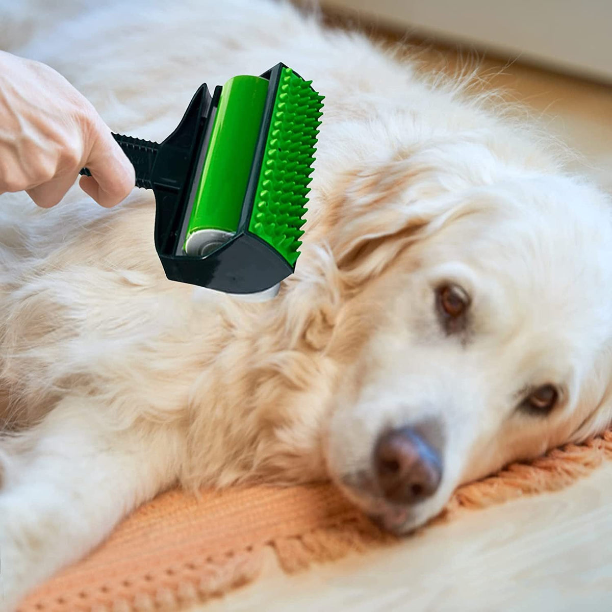 Pet Hair Remover Roller for Reusable Quick Home Cleanup