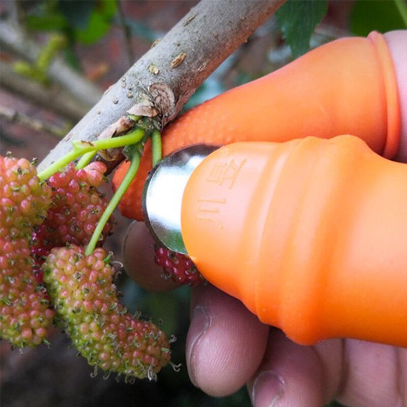 Silicone Thumb Knife for Picking Beans and Berries